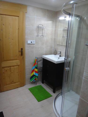 ein Bad mit einem Waschbecken und einer Dusche in der Unterkunft Apartmán Na Zlatníku in Zlatá Olešnice