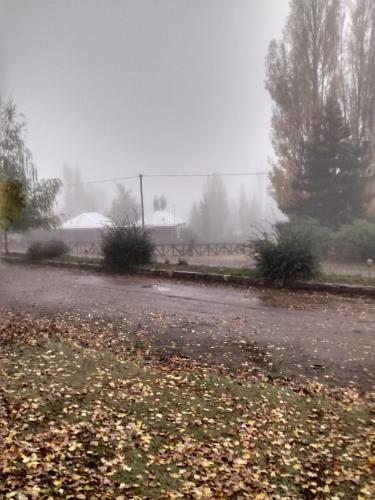 a road in the fog with leaves on the ground at Casa de montaña, valle del sol, potrerillos, Mendoza in Mendoza