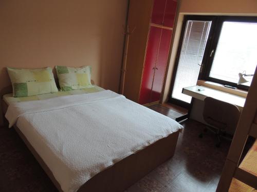 a bedroom with a large bed and a window at Smeštaj - sobe MARVEL in Niš