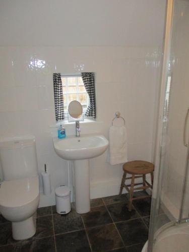ウェルス・ネクスト・ザ・シーにあるNo 52 'Sea Holly' Holkhamのバスルーム(洗面台、トイレ、鏡付)