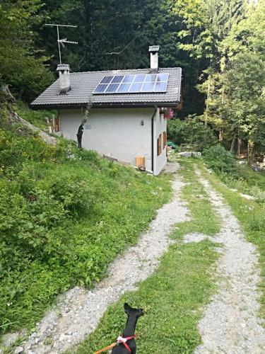 Φωτογραφία από το άλμπουμ του Chalet Immerso nel Verde σε Strembo