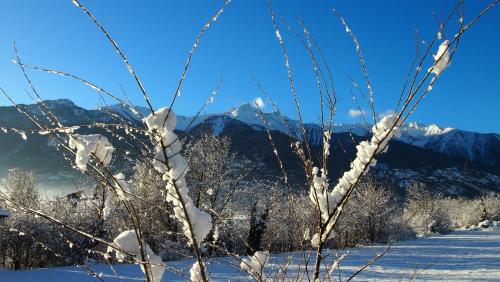 a view of a snowy mountain range with snow covered trees at La Casa Dei Nonni in Bussoleno