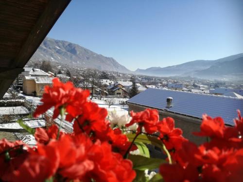 a bunch of red and white flowers on a balcony at La Casa Dei Nonni in Bussoleno