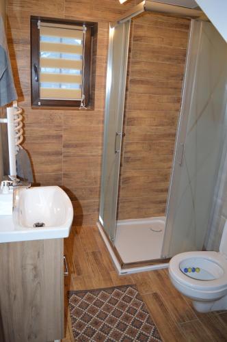 a bathroom with a shower and a toilet and a sink at Domek pod Majową Górą in Kacwin