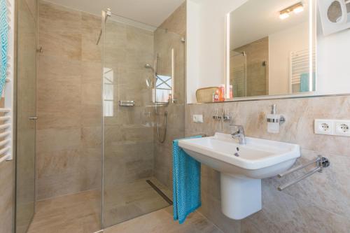 a bathroom with a sink and a glass shower at Ferienhaus Ostseehaus Seegras mit Kamin in Prerow