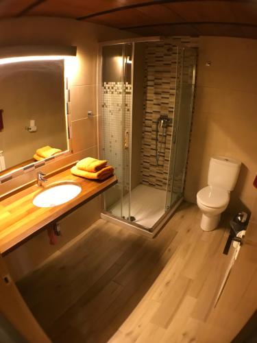 阿羅約弗里奧的住宿－Fuente del Ciervo 1，带淋浴、盥洗盆和卫生间的浴室