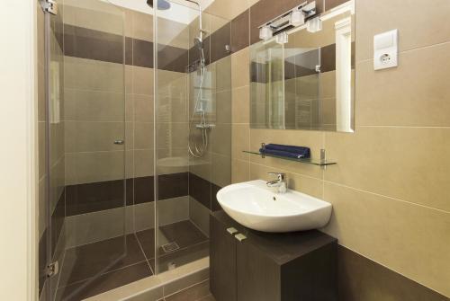 ブダペストにあるVaci 12 Apartmentのバスルーム(シンク、シャワー付)