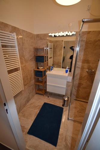 ブルノにあるOllis garden Apartmentのバスルーム(シャワー、シンク、鏡付)