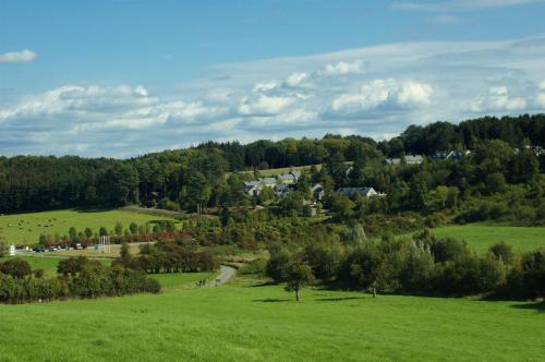 a green field with trees and houses in the distance at Résidence Durbuy in Durbuy