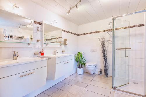 a bathroom with a shower and a sink and a toilet at Zwei 4 Sterne Wohnungen bei Limburg in Mensfelden