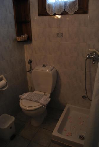 a small bathroom with a toilet and a shower at Rizoma Guesthouse in Mikrón Khoríon