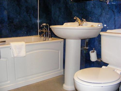 a bathroom with a sink and a toilet and a bath tub at The Dog and Partridge in Langsett