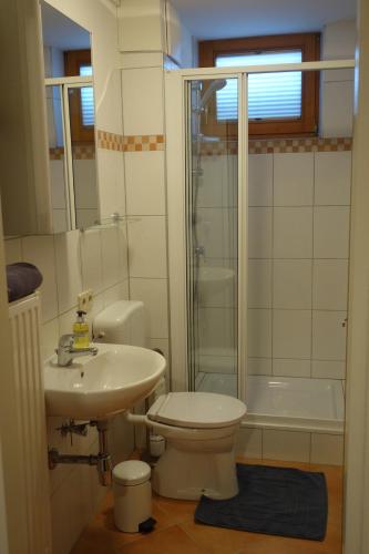 トレーポラッハにあるApartment Steinkellnerのバスルーム(トイレ、洗面台、シャワー付)