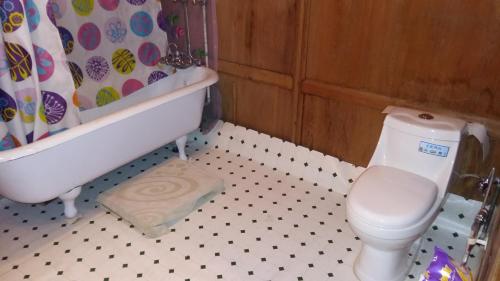 a bathroom with a toilet and a tub and a sink at Jacqueline houseboat in Srinagar