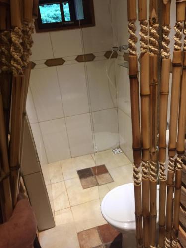 uma casa de banho com um chuveiro e um WC. em Delirius Hospedagem em Itamonte