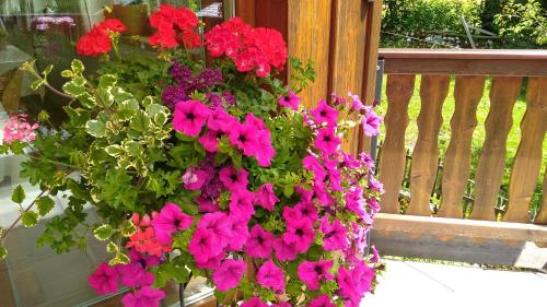 a bunch of pink flowers hanging from a porch at Haus Hepi in Obertraun