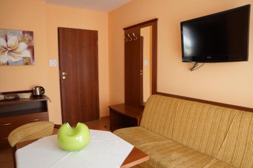 a living room with a couch and a television at Willa Grażyna in Ustroń