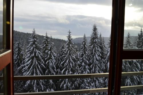 a view of a snow covered forest from a window at Apartmán v Srdci Hor Cihlářka in Pec pod Sněžkou