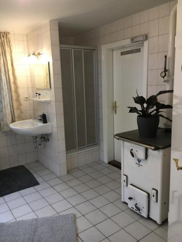 a bathroom with a sink and a toilet and a shower at Huck’s Ferienhäuser in Borstel