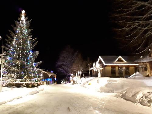 a christmas tree on a snowy street at night at Apartmán Šafran in Donovaly