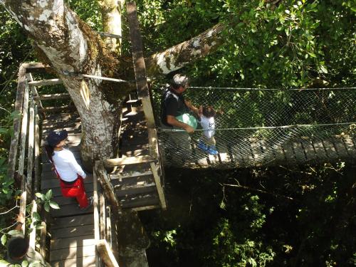 a man and two children standing on a tree at Hacienda Herrera Tambopata in Puerto Maldonado