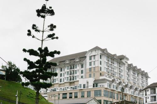 a large white building with a tree in front of it at Avillion Cameron Highlands in Cameron Highlands