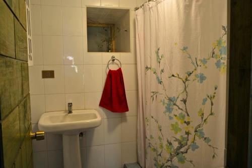 a bathroom with a sink and a shower curtain at Casa Camelia in Rinconada de los Andes