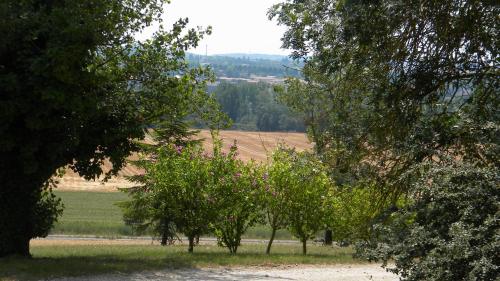 a group of trees with a field in the background at Chambres d'Hôtes Le Loubet in LʼIsle-Jourdain