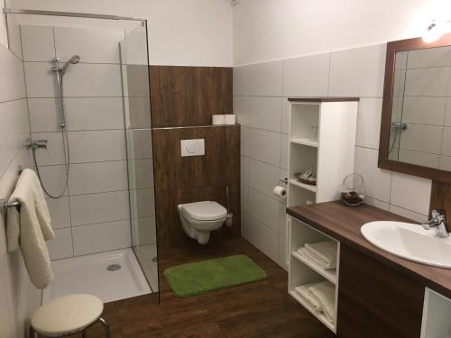 a bathroom with a shower and a toilet and a sink at Gustoplatzl in Klöch