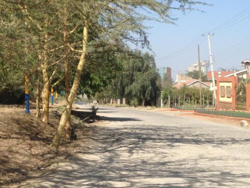 an empty street with trees on the side of the road at Chester View Homestay in Syokimau