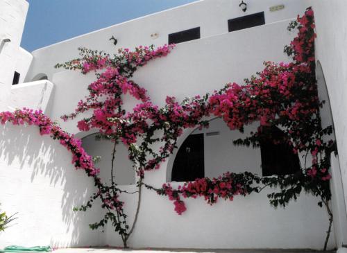 a white building with pink flowers on it at San Antonio Summer House by GHH in Piso Livadi