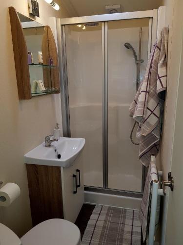 a bathroom with a shower and a toilet and a sink at Shanthi Lodge in Dunning