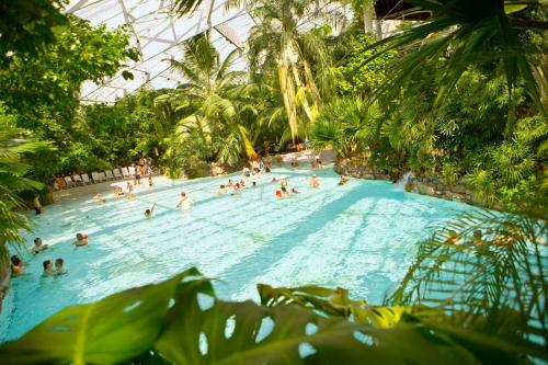 a group of people in a swimming pool in a greenhouse at Center Parcs Les Hauts de Bruyères in Chaumont-sur-Tharonne