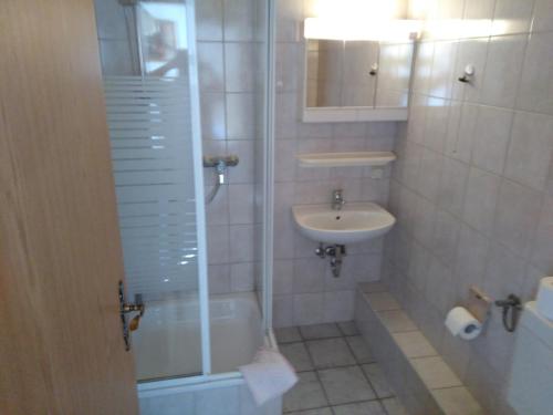 y baño con lavabo, ducha y aseo. en Gasthof Zur Eiche, en Elsteraue