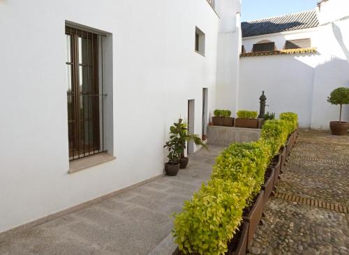 Zahrada ubytování Palacio Muñoz Chaves Cáceres