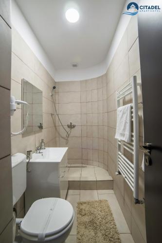 a bathroom with a toilet and a sink at Citadel Aparthotel in Galaţi