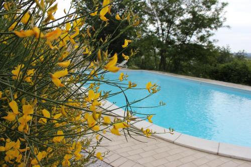 a blue swimming pool next to a tree with yellow flowers at Agriturismo La Valle del Vento Urbino in Urbino