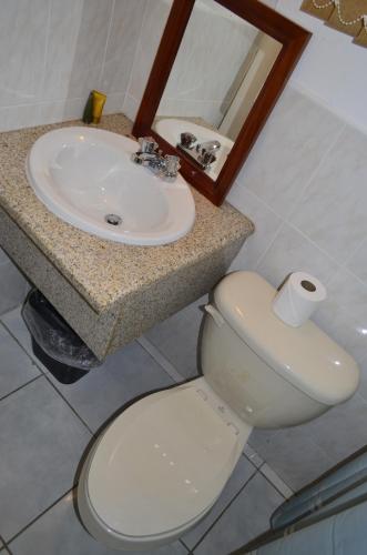 a bathroom with a white toilet and a sink at Pink Rock Inn Bed and Breakfast in Ocho Rios