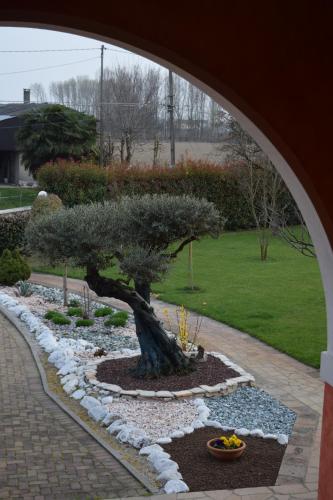 a tree in the middle of a garden at Il Farfasole in Vigonovo