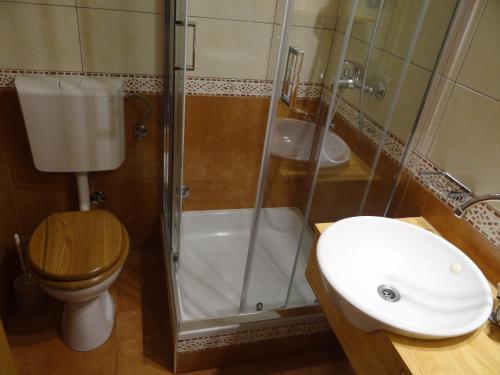 a bathroom with a shower and a toilet and a sink at Villa Ujoli in Splitska