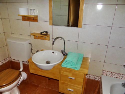 a bathroom with a sink and a toilet at Villa Ujoli in Splitska