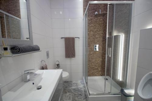 a bathroom with a shower and a sink and a toilet at Pension / Zimmervermietung Wasbek in Wasbek