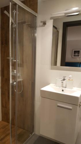 a bathroom with a shower and a sink and a mirror at Willa Karo in Muszyna
