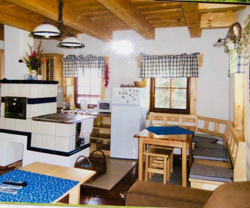Köök või kööginurk majutusasutuses Chata ObšÍvanka