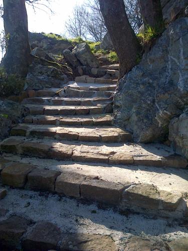 a set of stone steps on a hill with trees at Le Rocher du Samoyède in Dirinon