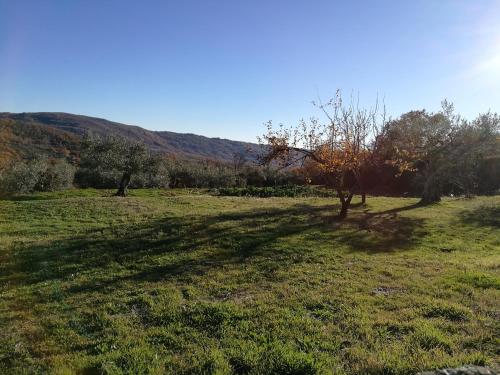 a shadow of a tree in a field at El Balcon de Los Sueños in Trevejo