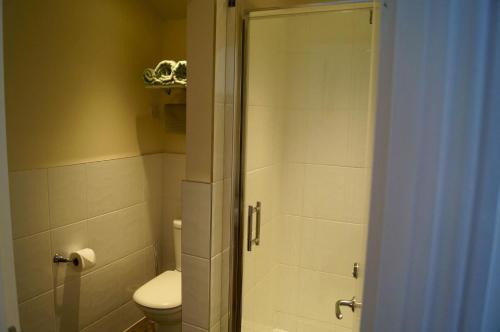 a bathroom with a toilet and a shower stall at The Arun View Inn in Littlehampton