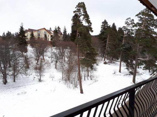 a view of a snow covered yard from a balcony at EP Apartment in Mgzavrebi Bakuriani in Bakuriani