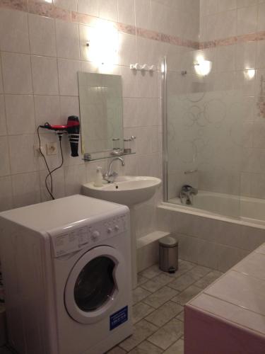 a bathroom with a washing machine and a sink at L'Acacia in Forbach