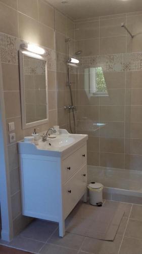 une salle de bain avec un lavabo, une douche et un miroir dans l'établissement Le Pré Vert, à Crugey